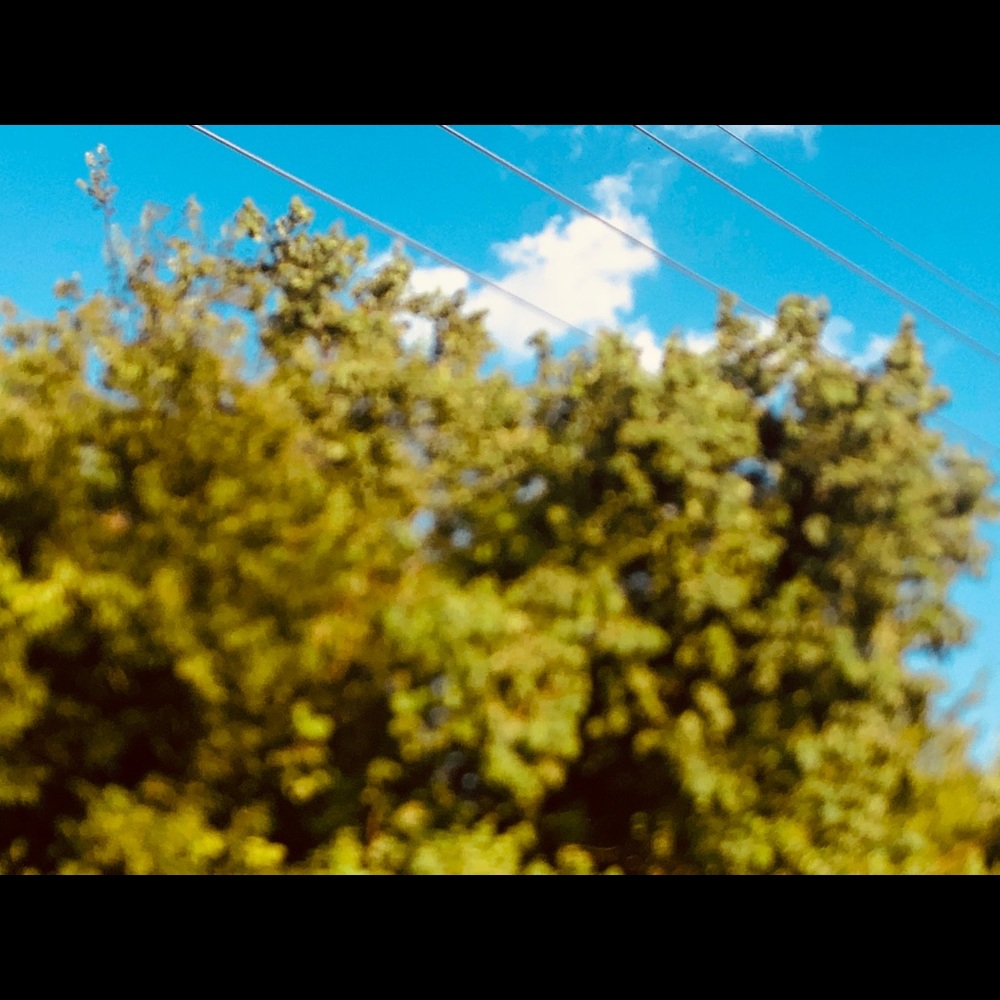 Meet your Posher, Marisol